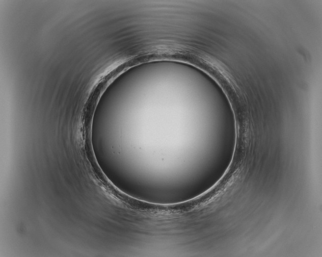 X0000115831018200911131501