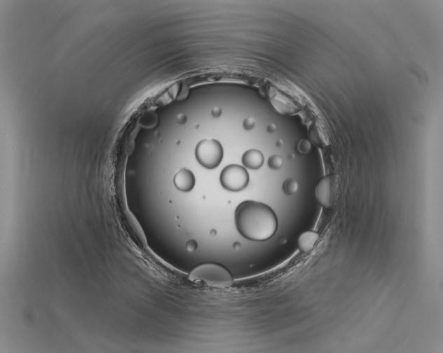 X0000115831019200911131501