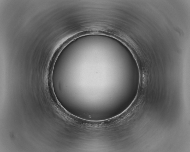 X0000115831020200911131501