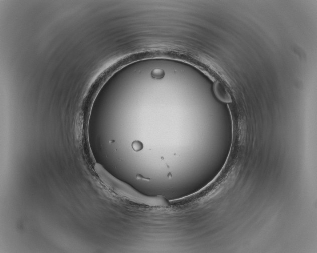 X0000115831021200911131501