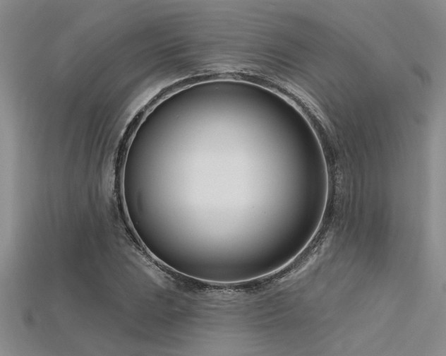 X0000115831023200911131501