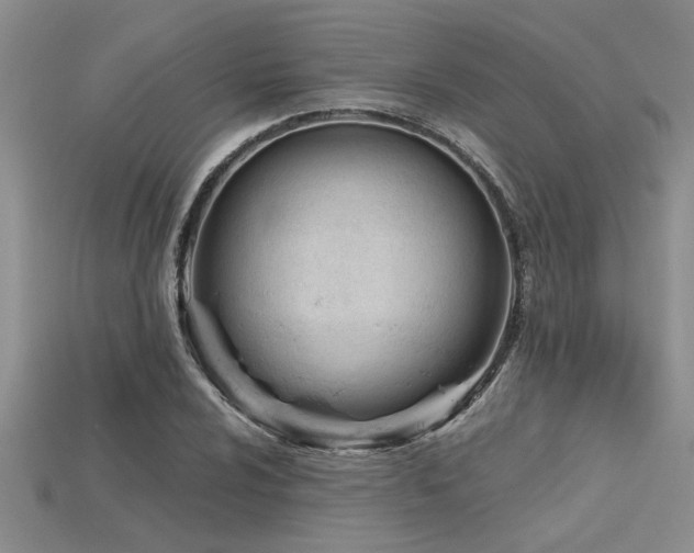 X0000115831024200911131501