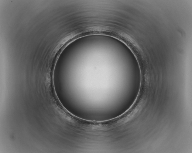 X0000115831025200911131501