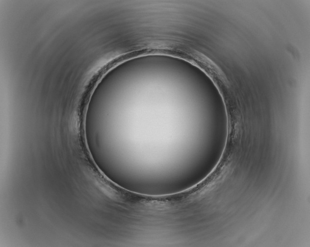 X0000115831027200911131501