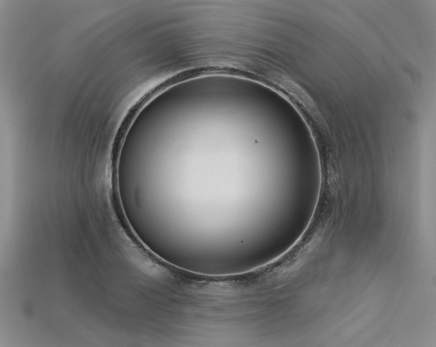 X0000115831028200911131501