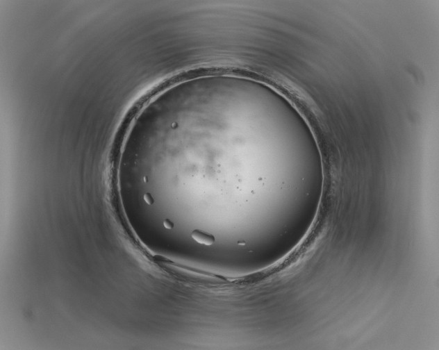 X0000115831029200911131501