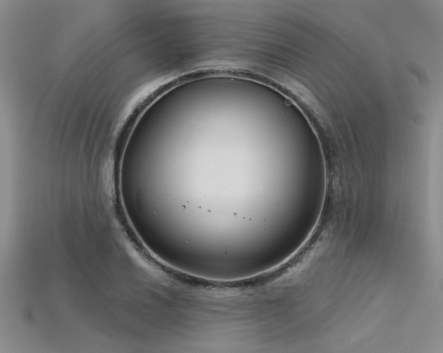 X0000115831030200911131501