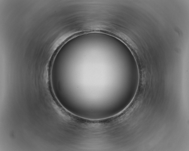 X0000115831031200911131501