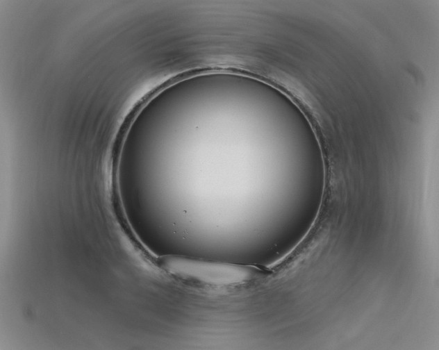 X0000115831032200911131501