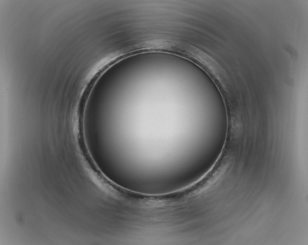 X0000115831034200911131501