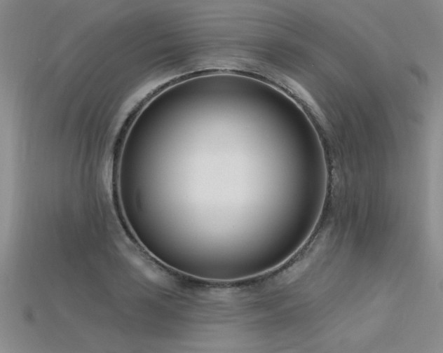 X0000115831035200911131501