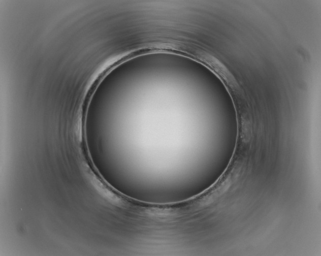 X0000115831036200911131501