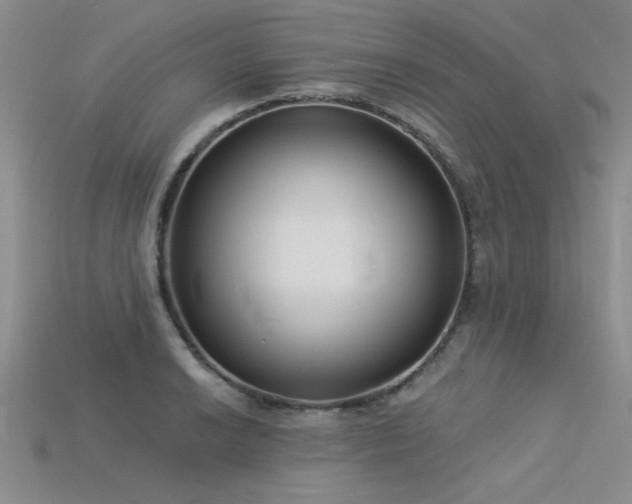 X0000115831038200911131501