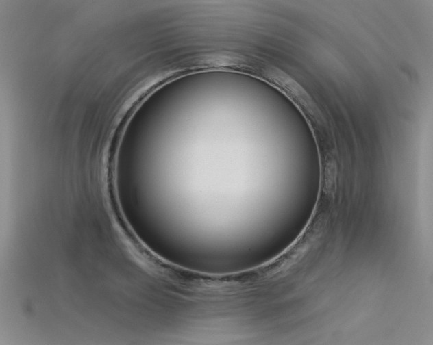 X0000115831039200911131501