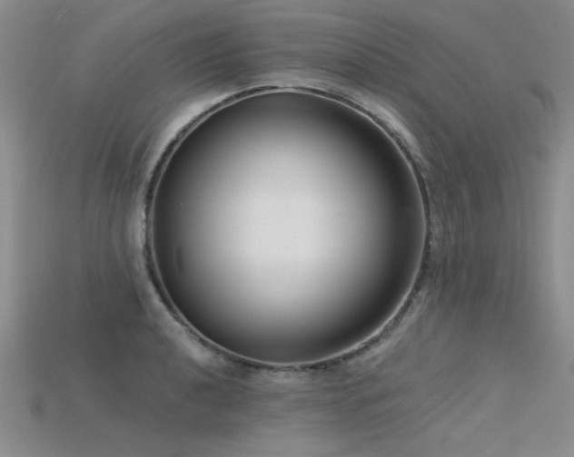 X0000115831040200911131501