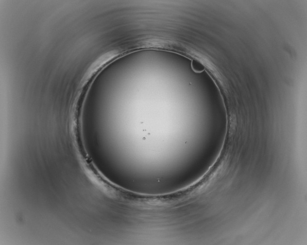 X0000115831042200911131501