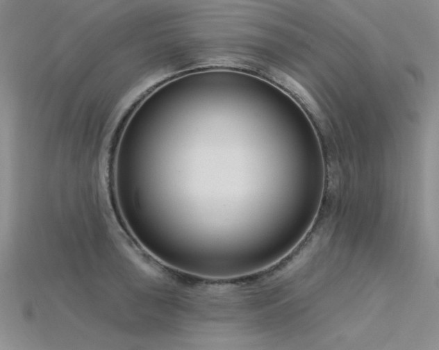 X0000115831043200911131501