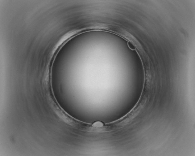 X0000115831044200911131501