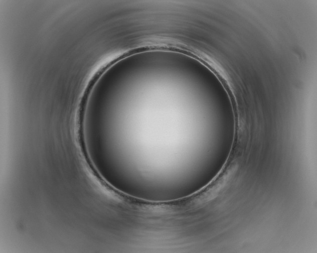 X0000115831045200911131501