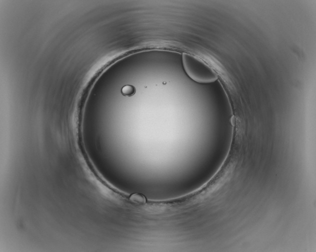 X0000115831046200911131501