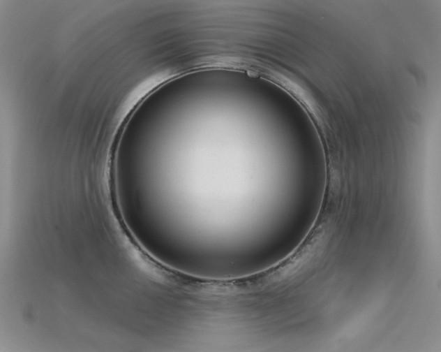 X0000115831050200911131501