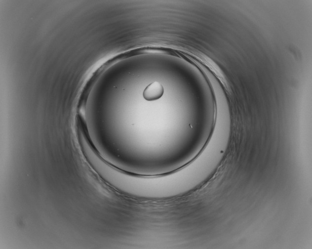 X0000115831051200911131501