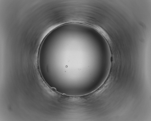 X0000115831052200911131501