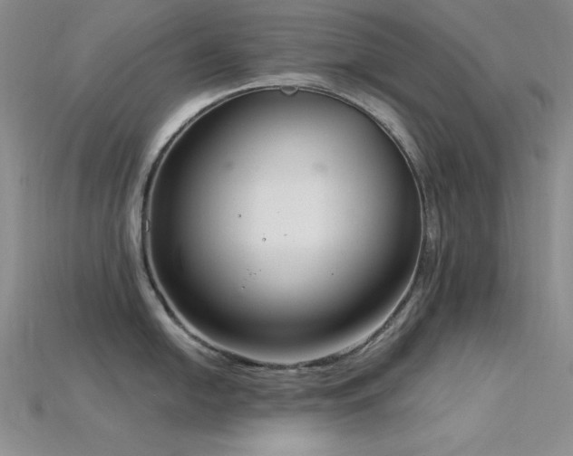 X0000115831054200911131501