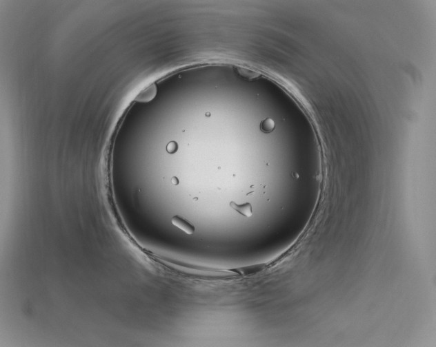 X0000115831056200911131501