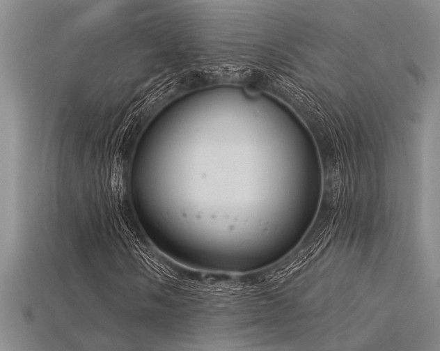 X0000115831058200911131501