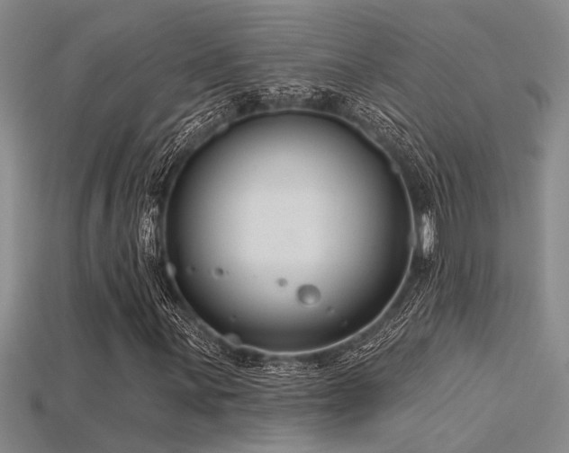 X0000115831059200911131501