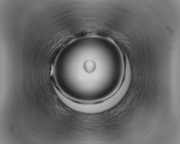 X0000115831060200911131501