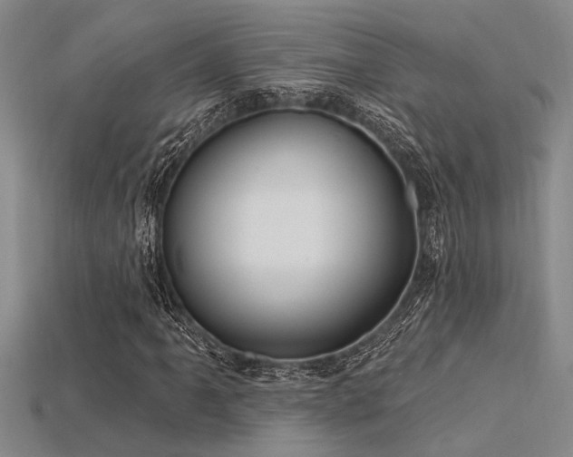 X0000115831061200911131501