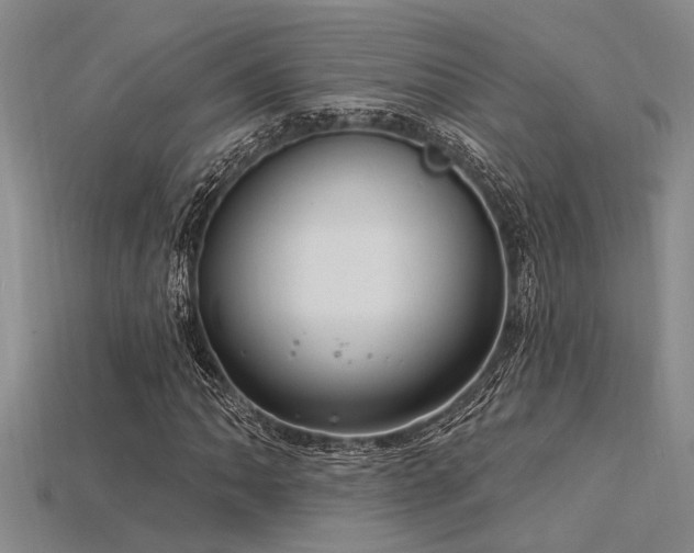 X0000115831062200911131501