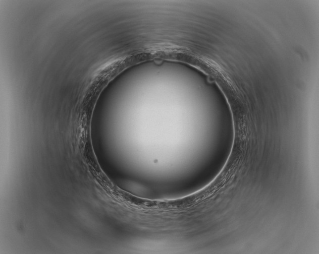 X0000115831063200911131501