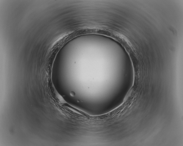 X0000115831064200911131501