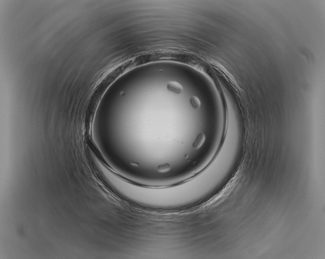 X0000115831065200911131501