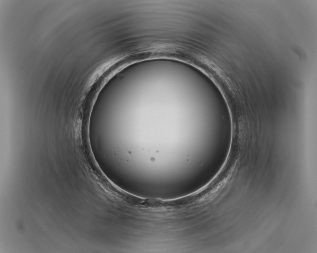 X0000115831066200911131501