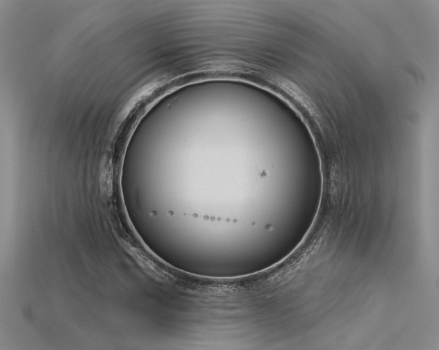 X0000115831067200911131501