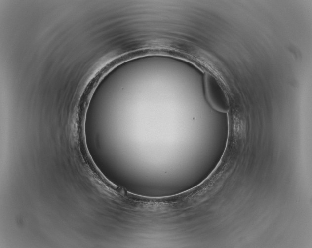 X0000115831068200911131501