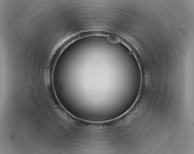 X0000115831069200911131501