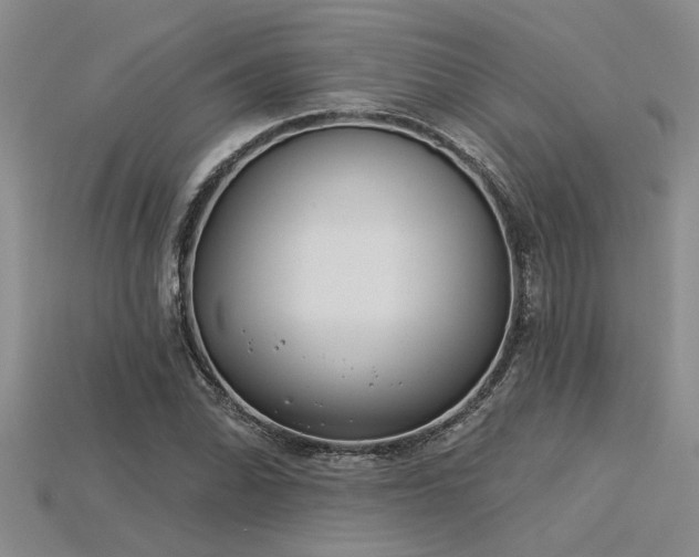 X0000115831070200911131501