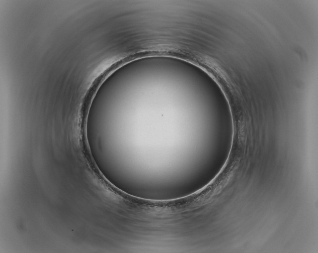 X0000115831071200911131501