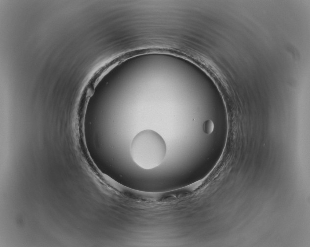 X0000115831072200911131501