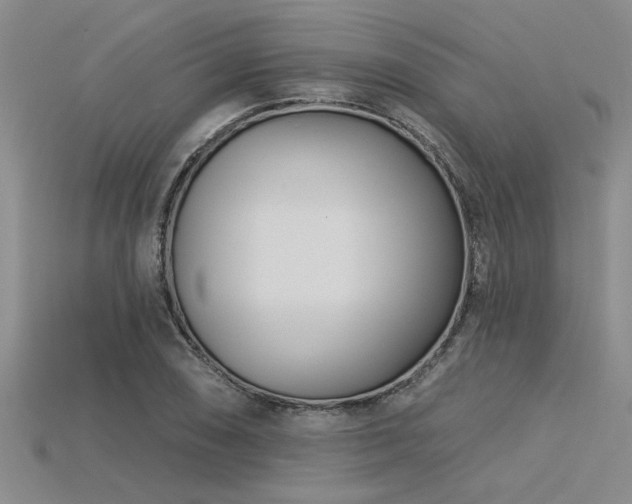 X0000115831074200911131501