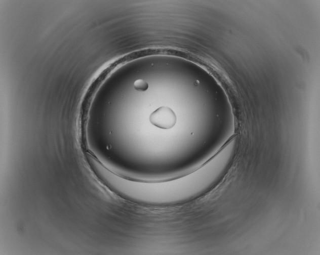 X0000115831076200911131501