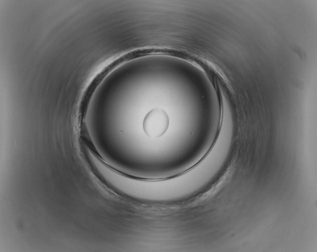 X0000115831077200911131501