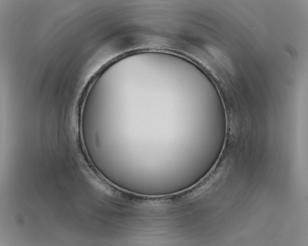 X0000115831078200911131500