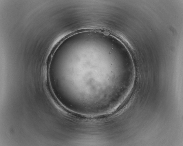 X0000115831079200911131500