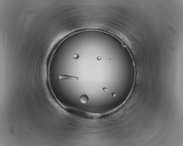 X0000115831080200911131500